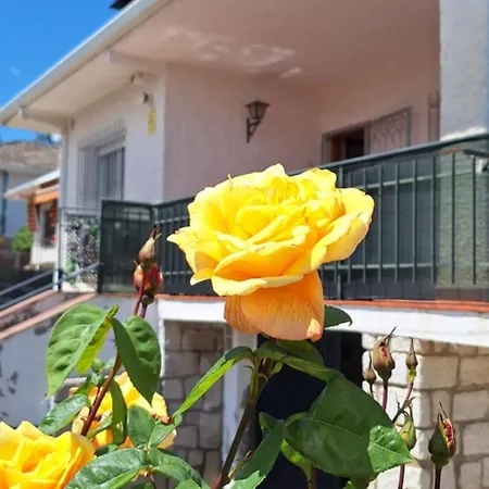 Holiday home La Teneria *